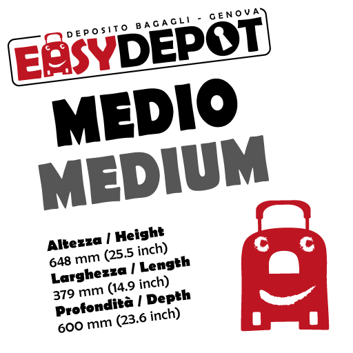 BOX MEDIO - 1  Cabin Bag + zaino e borsa